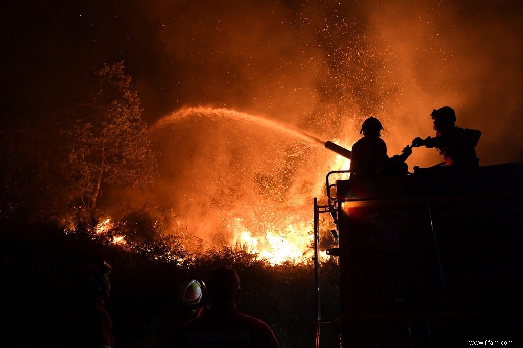 Prédire les incendies de forêt ? Mesurer l humidité du sol 