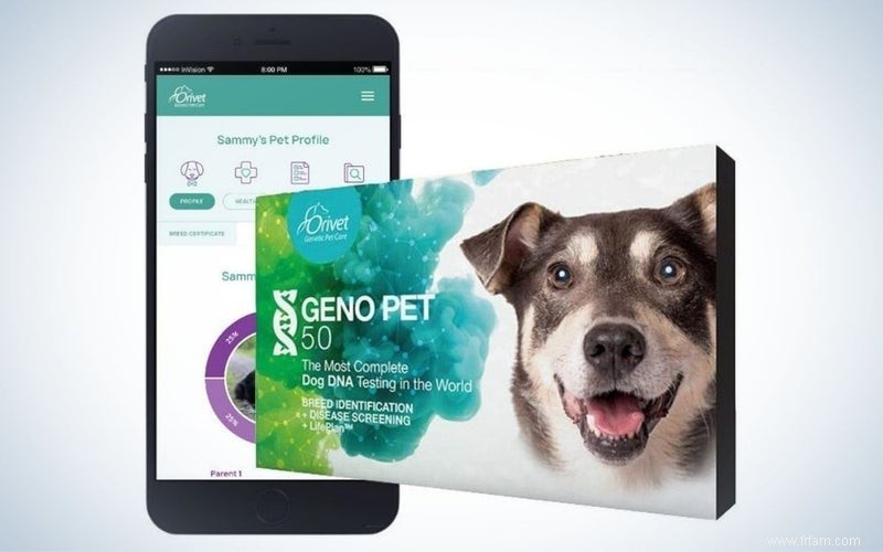 Meilleurs tests ADN pour chiens de 2022 