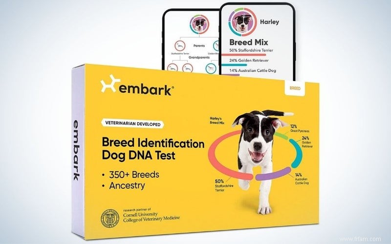 Meilleurs tests ADN pour chiens de 2022 