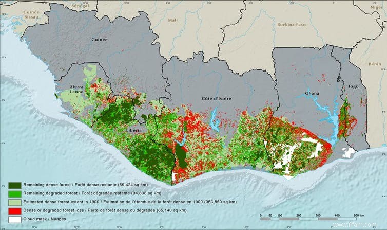 E.O. Wilson a changé le monde avec les leçons apprises des fourmis 