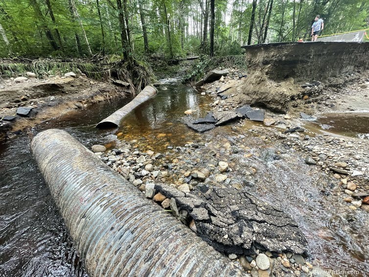 Ce que les castors, ingénieurs de la nature, peuvent nous apprendre sur la gestion de l eau 