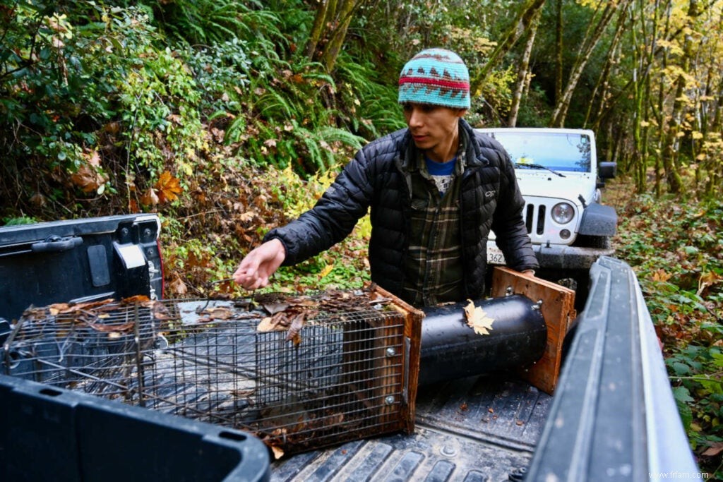 Comment la tribu de la vallée de Hoopa surveille un prédateur forestier rare et rusé 