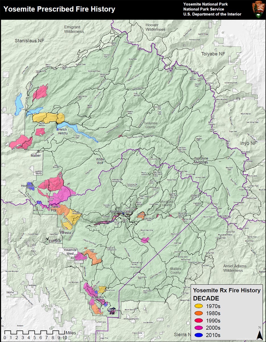 Ces scans laser montrent comment les incendies ont changé les forêts de Yosemite 