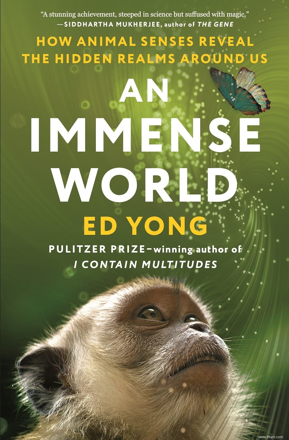 Les animaux ressentent-ils de la douleur ? L auteur scientifique Ed Yong dit que c est la mauvaise question. 