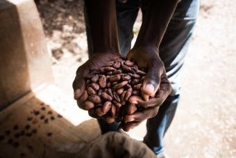 Culture haïtienne :comprendre les valeurs et les croyances familiales 