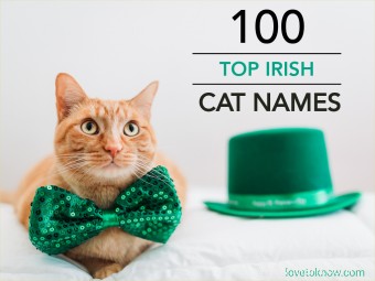 100 meilleurs noms de chats irlandais (du traditionnel au drôle) 