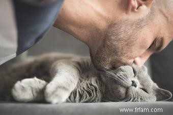 Plus de 100 noms de chats commençant par C (mignons à créatifs) 