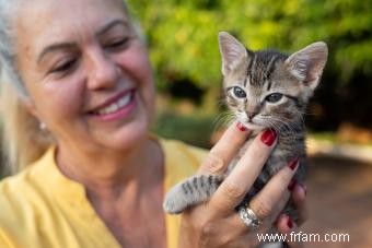 115 noms latins pour chats :idées amusantes et classiques 