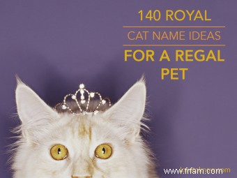 140 idées de noms de chat royal pour un animal de compagnie royal 