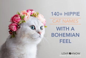 Plus de 140 noms de chats hippies avec une touche bohème 