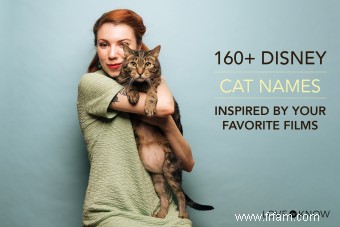 Plus de 160 noms de chats Disney inspirés de vos films préférés 