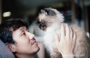 225 noms de chats japonais populaires avec des significations 