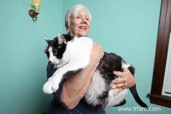 Le plus gros chat du monde 