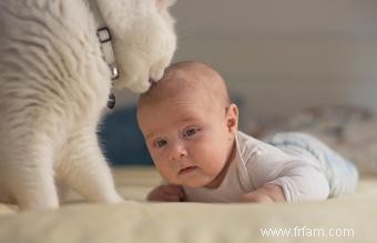 Pourquoi mon chat essaie-t-il de me lécher les poils ? 