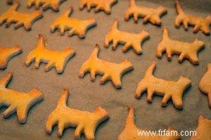 3 recettes de friandises maison pour chat 