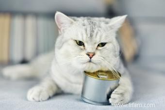 Calculer la quantité de nourriture en conserve pour nourrir un chat 