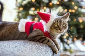 Toppers de sapin de Noël chat à fabriquer et à acheter 