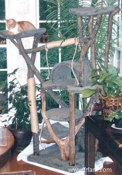 Comment choisir un arbre à chat rustique 