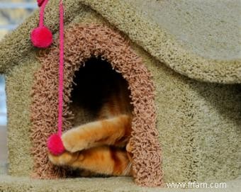 Fabriquer ou acheter un condo pour chat 