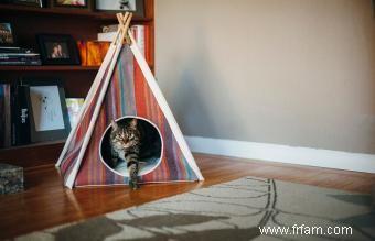 Options pour les lits et les meubles de luxe pour chats 