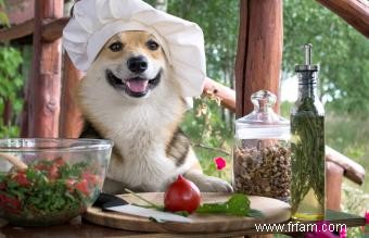 120+ noms de chiens italiens qui sont Benvoluto 