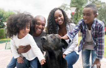 3 endroits où trouver des adoptions de chiots et à quoi s attendre 