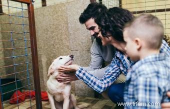 3 endroits où trouver des adoptions de chiots et à quoi s attendre 