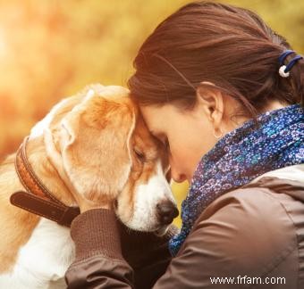 De plus en plus de preuves que votre chien vous aime vraiment 