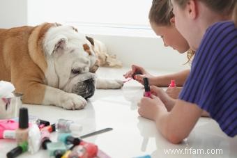 Options de vernis à ongles pour chien :Dorlotez votre chiot 