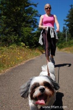 Conseils pour les chiens âgés ayant des accidents domestiques 