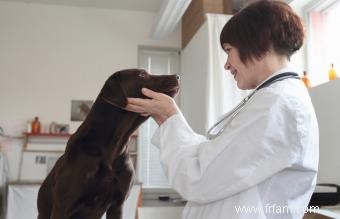 Les ophtalmologistes canins et le programme CAER 