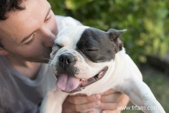 Chien Haletant 101 :Combien de temps après l exercice est-il normal ? 