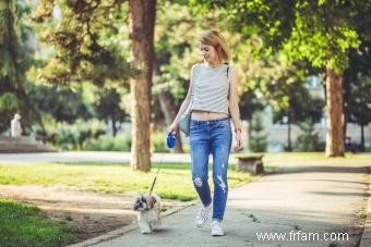 À quelle fréquence promenez-vous votre chien ? 5 facteurs à considérer 