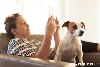 Votre chien souffre-t-il ? 14 signes à surveiller 