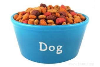 5 options d aliments hypoallergéniques pour chiens 