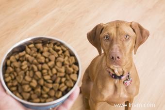 Meilleurs aliments et marques pour chiens 