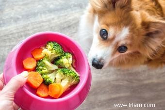 Les chiens peuvent-ils manger du brocoli ? Explorer ce légume pour les chiens 