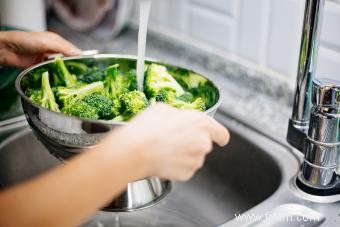 Les chiens peuvent-ils manger du brocoli ? Explorer ce légume pour les chiens 