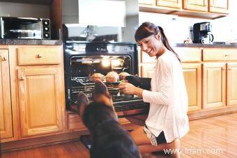 Les chiens peuvent-ils manger du pain de maïs ? La modération est la clé 