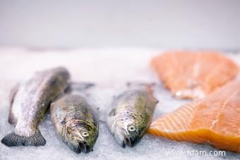 Les chiens peuvent-ils manger du poisson ? Répartition des pratiques les plus sûres 