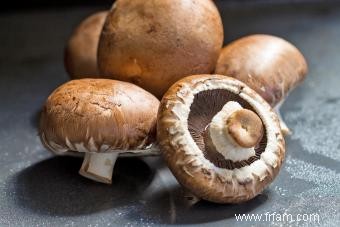 Les chiens peuvent-ils manger des champignons ? Ce que chaque propriétaire doit savoir 