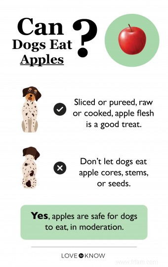 Les chiens peuvent-ils avoir des pommes ? Ou devraient-ils s abstenir de ces fruits ? 