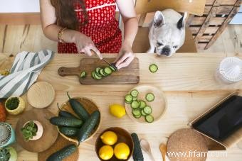 Les chiens peuvent-ils avoir des concombres ? Explorer ces friandises à faible teneur en calories 