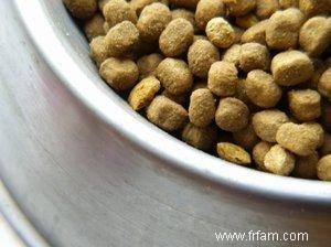 Recettes de nourriture pour chiens pour croquettes et pain de viande 