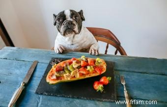 Quels fruits sont bons pour les chiens ? 