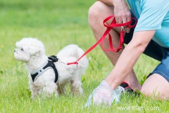 5 sacs de déjections canines biodégradables à considérer 