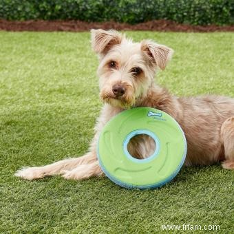 Fantastiques jouets aquatiques pour chiens 