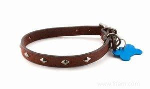 Porte-collier pour chien fait maison 