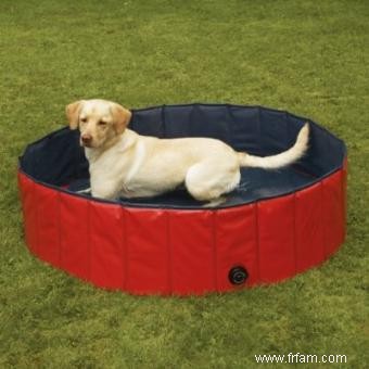 Conseils sur l achat de piscines pour chiens 