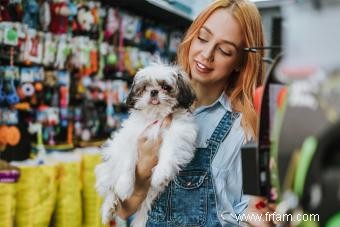 10 magasins acceptant les animaux et ce qu il faut savoir avant de partir 